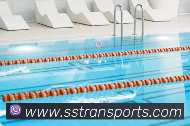 体育下注平台生态图